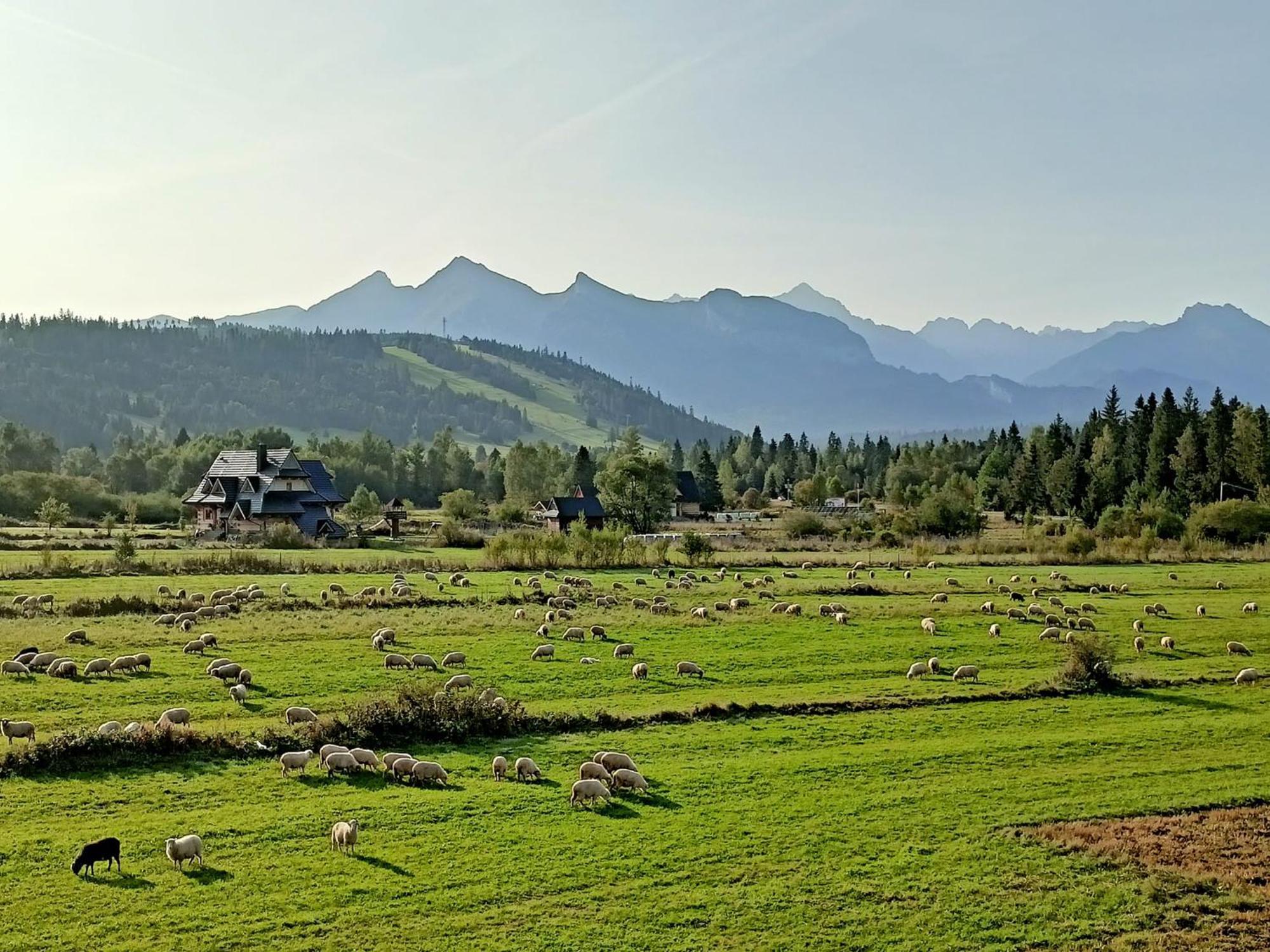 Jurgów Domek Z Goralska Dusza Sleboda מראה חיצוני תמונה